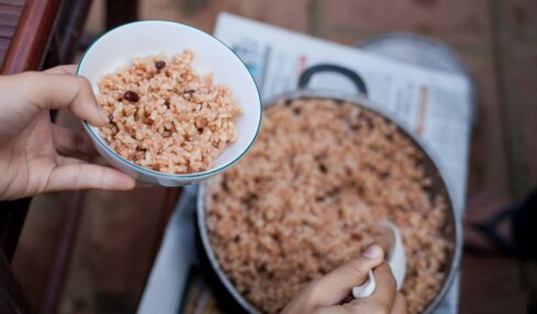 small-rice-cooker