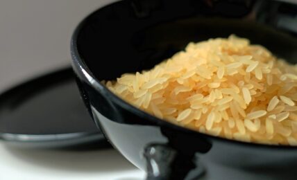 hamilton-beach-rice-cooker