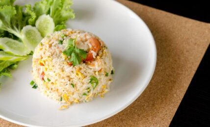 dash-mini-rice-cooker