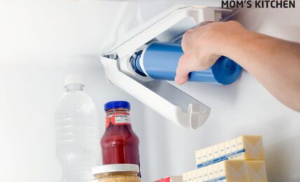refrigerator water filters