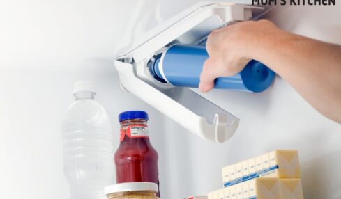 refrigerator water filters